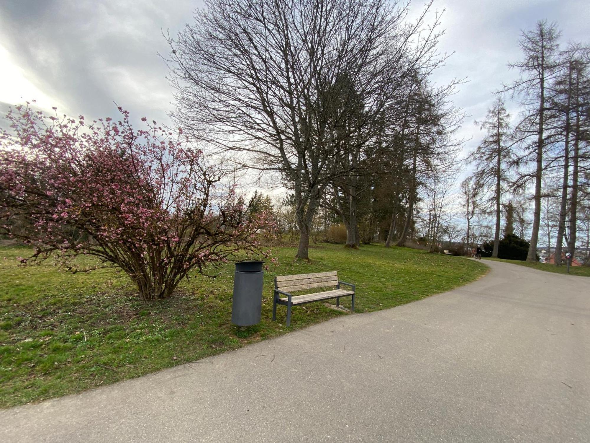 Schwarzwaelder 3 Zimmer Wohnung In Villingen Mit 2 Schlafzimmer Eksteriør billede